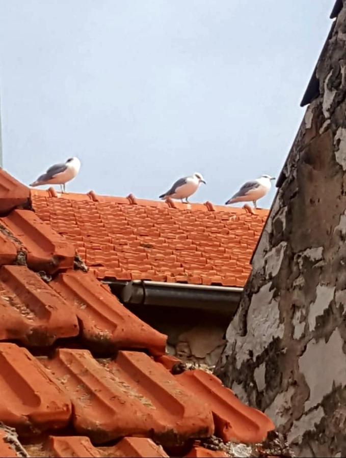 Hvar Heart Heritage Apartment Stari Grad  Luaran gambar